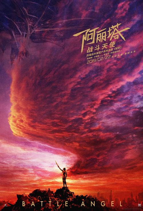 做假文莱签证